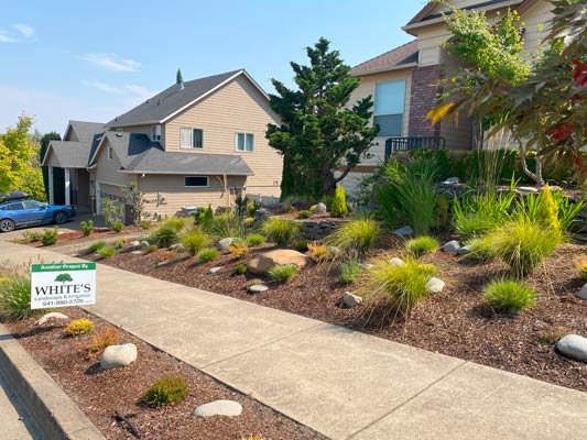 Front yard landscaping
