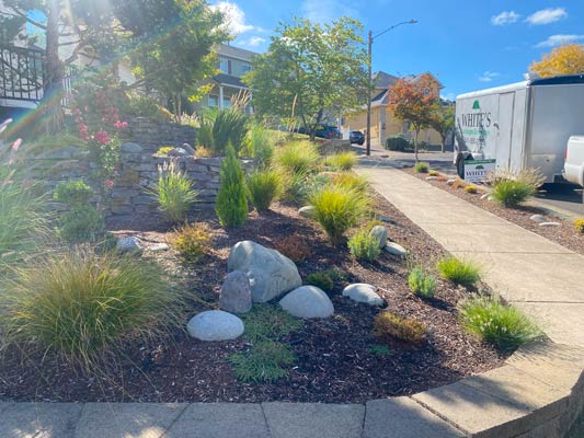 Drought-resistant landscape with decorative stones