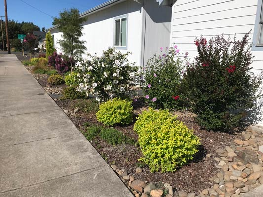 Colorful  plantings along a walkway