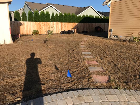 Backyard before landscaping transformation