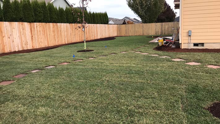 Transformed backyard with new sod and landscaping