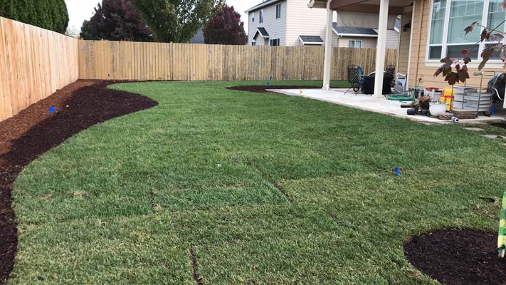 Backyard landscaping with new sod and mulch accents