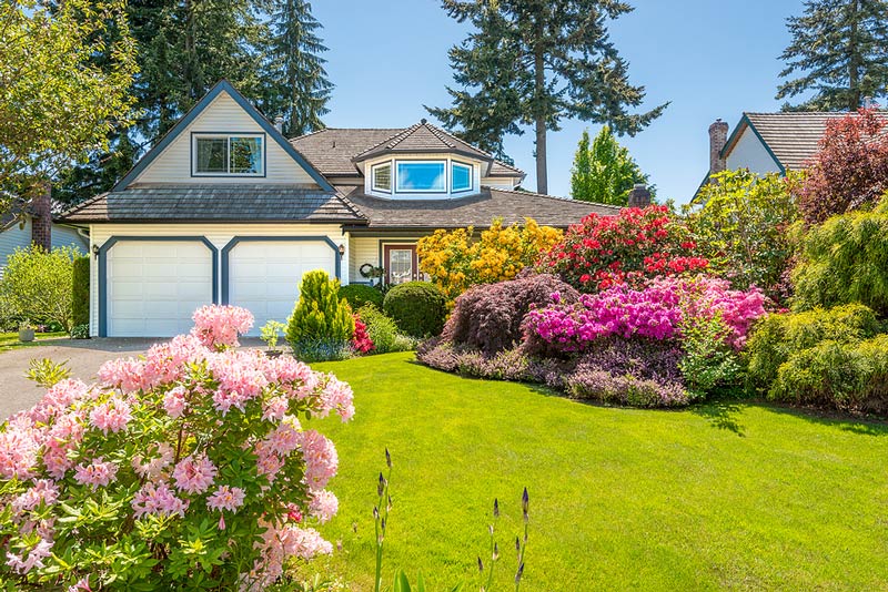 Colorful flowers and lawn